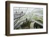 Canopy Walkway, Gardens by the Bay, Cloud Forest, Botanic Garden, Singapore, Southeast Asia, Asia-Christian Kober-Framed Photographic Print