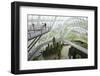 Canopy Walkway, Gardens by the Bay, Cloud Forest, Botanic Garden, Singapore, Southeast Asia, Asia-Christian Kober-Framed Photographic Print