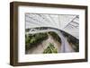 Canopy Walkway, Gardens by the Bay, Cloud Forest,Botanic Garden, Singapore, Southeast Asia, Asia-Christian Kober-Framed Photographic Print