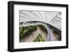 Canopy Walkway, Gardens by the Bay, Cloud Forest,Botanic Garden, Singapore, Southeast Asia, Asia-Christian Kober-Framed Photographic Print