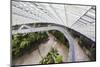 Canopy Walkway, Gardens by the Bay, Cloud Forest,Botanic Garden, Singapore, Southeast Asia, Asia-Christian Kober-Mounted Photographic Print