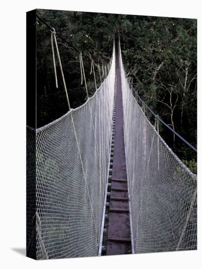 Canopy Walkway in the Peruvian Rainforest, Sucusari River Region, Peru-Gavriel Jecan-Stretched Canvas