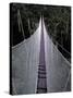 Canopy Walkway in the Peruvian Rainforest, Sucusari River Region, Peru-Gavriel Jecan-Stretched Canvas