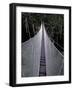 Canopy Walkway in the Peruvian Rainforest, Sucusari River Region, Peru-Gavriel Jecan-Framed Photographic Print
