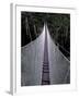 Canopy Walkway in the Peruvian Rainforest, Sucusari River Region, Peru-Gavriel Jecan-Framed Photographic Print