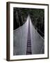 Canopy Walkway in the Peruvian Rainforest, Sucusari River Region, Peru-Gavriel Jecan-Framed Photographic Print