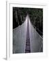 Canopy Walkway in the Peruvian Rainforest, Sucusari River Region, Peru-Gavriel Jecan-Framed Photographic Print