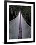 Canopy Walkway in the Peruvian Rainforest, Sucusari River Region, Peru-Gavriel Jecan-Framed Photographic Print