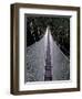 Canopy Walkway in the Peruvian Rainforest, Sucusari River Region, Peru-Gavriel Jecan-Framed Premium Photographic Print