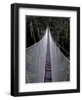 Canopy Walkway in the Peruvian Rainforest, Sucusari River Region, Peru-Gavriel Jecan-Framed Premium Photographic Print