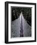 Canopy Walkway in the Peruvian Rainforest, Sucusari River Region, Peru-Gavriel Jecan-Framed Premium Photographic Print