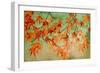 Canopy-Andrew Michaels-Framed Premium Giclee Print