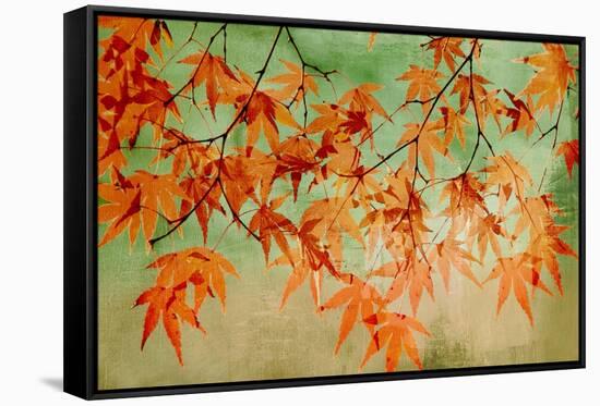 Canopy-Andrew Michaels-Framed Stretched Canvas