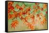 Canopy-Andrew Michaels-Framed Stretched Canvas