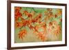 Canopy-Andrew Michaels-Framed Art Print