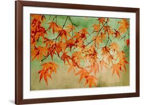 Canopy-Andrew Michaels-Framed Art Print