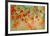 Canopy-Andrew Michaels-Framed Art Print