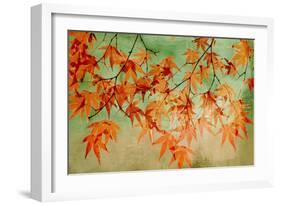 Canopy-Andrew Michaels-Framed Art Print