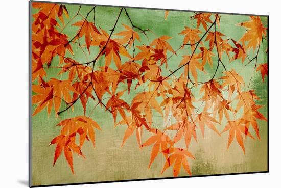 Canopy-Andrew Michaels-Mounted Art Print