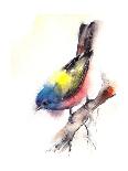 Hummingbird-CanotStop-Art Print