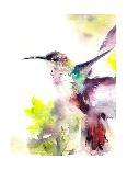 Hummingbird-CanotStop-Art Print