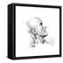 Canova (Deathbed)-null-Framed Stretched Canvas