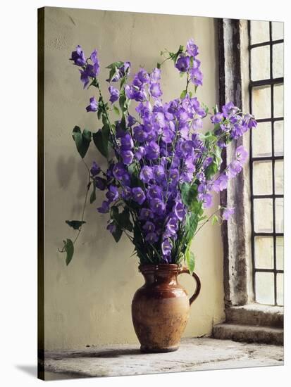 Canterbury Bells-Clay Perry-Stretched Canvas