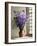 Canterbury Bells-Clay Perry-Framed Photographic Print