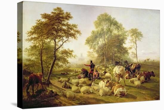 Canterbury Meadows, 1858-Thomas Sidney Cooper-Stretched Canvas