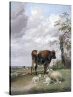 Canterbury Meadows, 19th Century-Thomas Sidney Cooper-Stretched Canvas