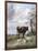 Canterbury Meadows, 19th Century-Thomas Sidney Cooper-Framed Giclee Print