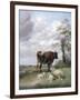 Canterbury Meadows, 19th Century-Thomas Sidney Cooper-Framed Giclee Print