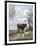 Canterbury Meadows, 19th Century-Thomas Sidney Cooper-Framed Giclee Print