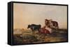 Canterbury Meadows, c1879-Thomas Sidney Cooper-Framed Stretched Canvas