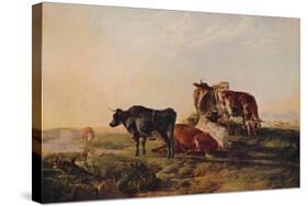 Canterbury Meadows, c1879-Thomas Sidney Cooper-Stretched Canvas