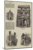 Canterbury-Samuel Read-Mounted Giclee Print