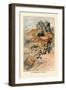 Canthareius Cibarius-William Hamilton Gibson-Framed Art Print