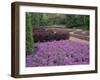 Cantigny Park, Wheaton, Illinois, USA-null-Framed Photographic Print