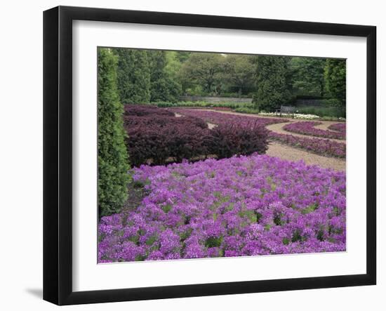 Cantigny Park, Wheaton, Illinois, USA-null-Framed Photographic Print