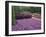 Cantigny Park, Wheaton, Illinois, USA-null-Framed Photographic Print