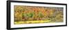 Cantilever bridge and autumnal trees in forest, Central Bridge, New York State, USA-Panoramic Images-Framed Photographic Print