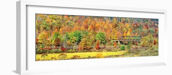 Cantilever bridge and autumnal trees in forest, Central Bridge, New York State, USA-Panoramic Images-Framed Photographic Print