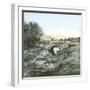 Canton (China), the Quay-Leon, Levy et Fils-Framed Photographic Print