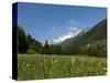 Canton Uri, Swiss Alps, Switzerland, Europe-Angelo Cavalli-Stretched Canvas