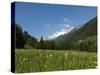 Canton Uri, Swiss Alps, Switzerland, Europe-Angelo Cavalli-Stretched Canvas