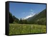 Canton Uri, Swiss Alps, Switzerland, Europe-Angelo Cavalli-Framed Stretched Canvas