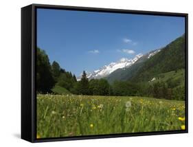 Canton Uri, Swiss Alps, Switzerland, Europe-Angelo Cavalli-Framed Stretched Canvas