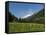 Canton Uri, Swiss Alps, Switzerland, Europe-Angelo Cavalli-Framed Stretched Canvas