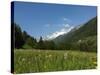 Canton Uri, Swiss Alps, Switzerland, Europe-Angelo Cavalli-Stretched Canvas