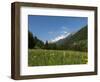 Canton Uri, Swiss Alps, Switzerland, Europe-Angelo Cavalli-Framed Photographic Print